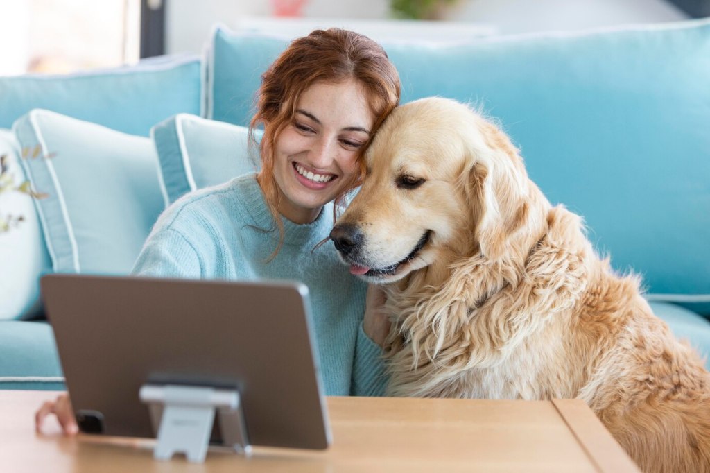 Remote worker attending a virtual meeting on a tablet with a dog by their side in a home office.